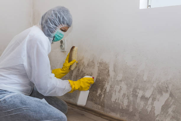 Best Air Quality Testing for Mold Spores  in Baltimore, OH