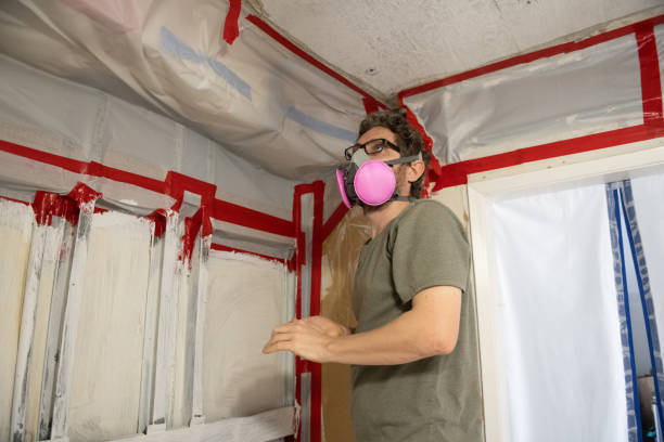 Best Mold Removal for HVAC Installations  in Baltimore, OH