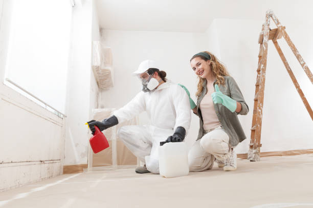 Best Mold Damage Restoration  in Baltimore, OH